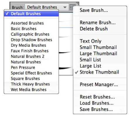 Click the arrow and select your desired brush from the Brush Preset Picker drop-down panel.