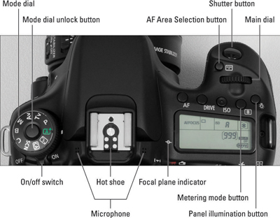 The tiny pictures on the Mode dial represent special automatic shooting modes.