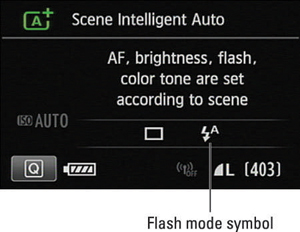This symbol tells you that the flash is set to Auto mode.