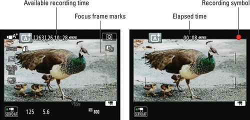 The display shows how many minutes of video will fit on your memory card (left) and, after you begi