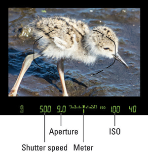 Figure 1: The shutter speed, f-stop, and ISO speed appear in the viewfinder.