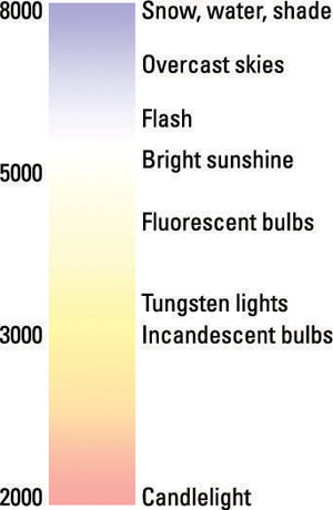 Each light source emits a specific color.