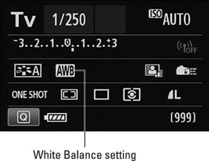 This symbol represents the Automatic White Balance setting.