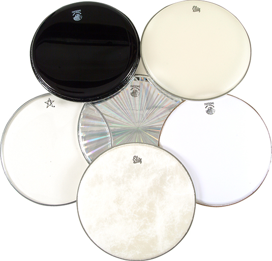 Banjo heads are available in different thicknesses and coatings and in a variety of designs. [Credi