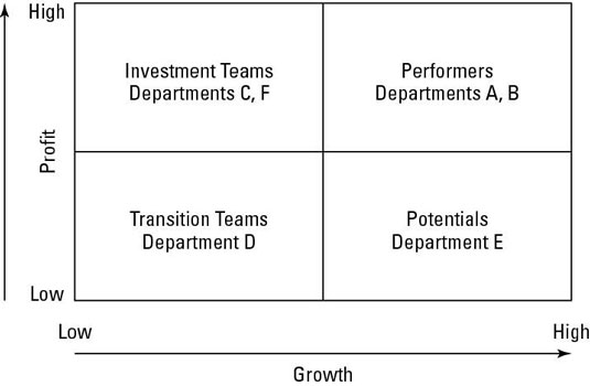 The Team/Business Unit Performance Matrix.