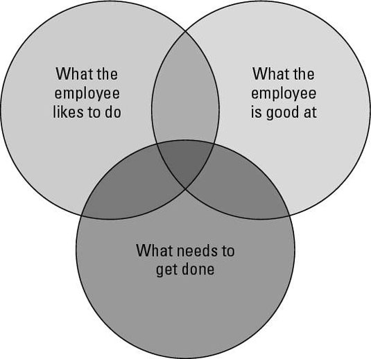 Fill in a three-circles diagram for the employee as part of the EDP.