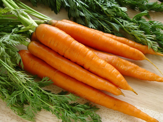 Carrots are pure sugar.