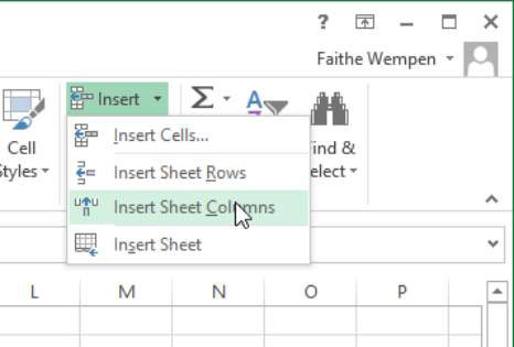 when users click on the insert button in Microsoft Excel, a pull down menu appears that allows users to insert columns and rows.