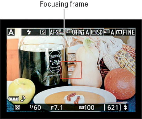 Locate the focus frame in the Live View display.