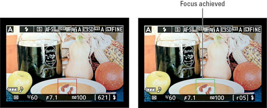 Press the Multi Selector up, down, right, or left to position the focusing frame over your subject.