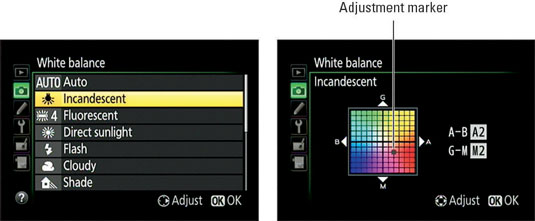 Highlight the White Balance setting you want to adjust, and press the Multi Selector right.