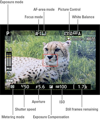 Nikon D5300 Video Recording Limits