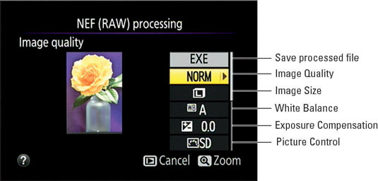 Highlight Retouch and press the Multi Selector to right to display the Retouch menu. Scroll to the NEF (RAW) Processing option.