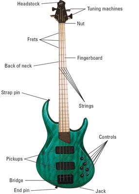 What Are the Parts of a Bass Guitar? - dummies