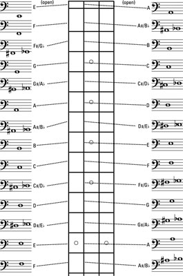Bass Neck Notes Chart