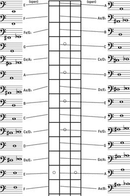 Bass Guitar Notes On Neck Chart