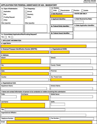 Government grant application