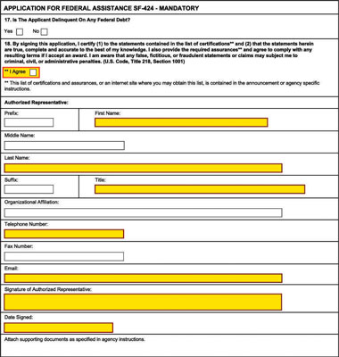 Government grant application