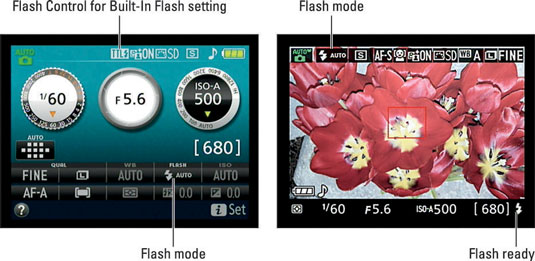 An icon representing the Flash mode appears in the displays.