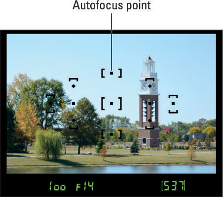 The AF-area mode setting determines which of the 11 autofocus points the camera uses to set the foc