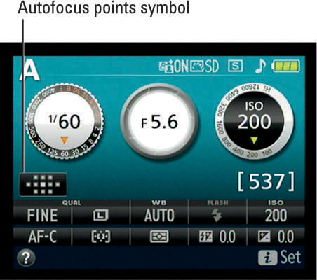 This symbol gives you more information about which autofocus points are active in the current AF-ar