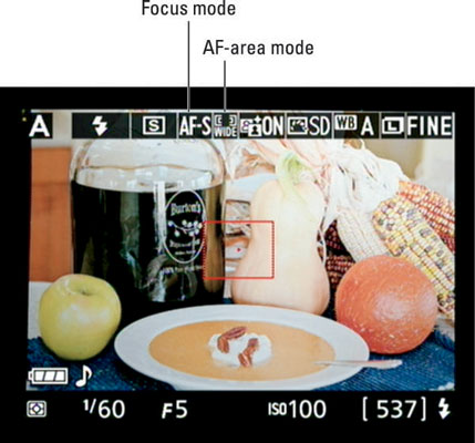 During Live View shooting, symbols representing the Focus mode and AF-area mode settings appear her