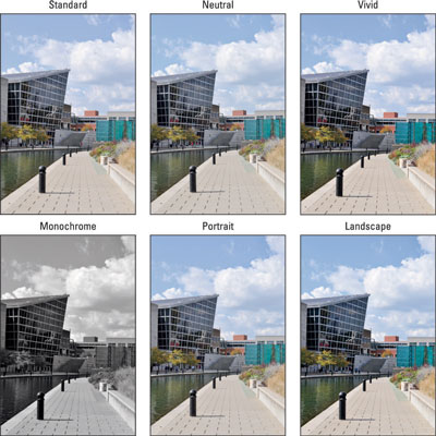 Picture controls apply preset adjustments to color, sharpening, and contrast to images you shoot in