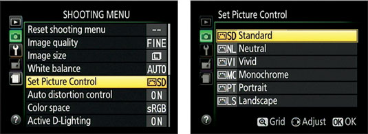 How to Customize D3300's Picture Controls - dummies