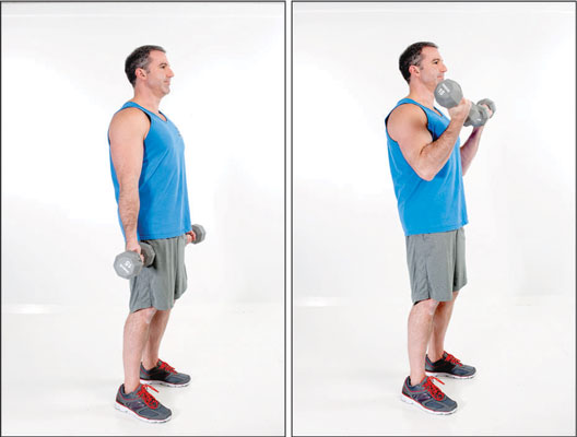 To perform the <i>biceps curl</i>, start in a standing position holding dumbbells with your palms facing forward.