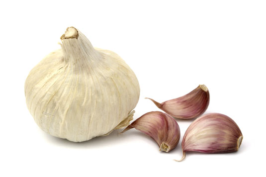 Garlic