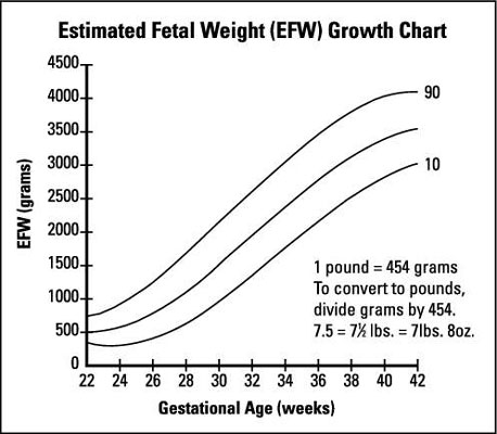 Fetal Baby Weight Percentile Chart