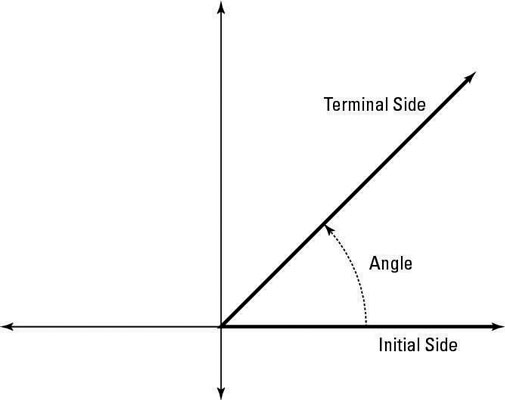 Graph Angles In A Standard Position Dummies