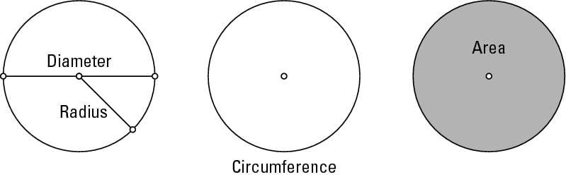 Диаметр круга 14 см. Radius diameter circumference and area. Диаметр окружности. Радиус и диаметр. Radius vs diameter.