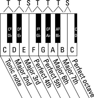 Playing Scales on the Harmonica - dummies