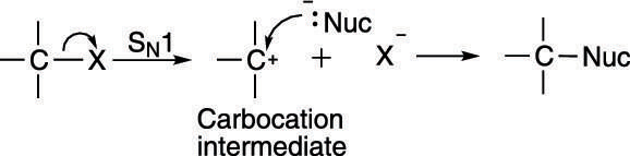 The S<sub>N</sub>1 mechanism.