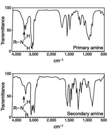 Absorptions of primary and secondary amines.