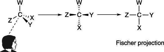 Creating a Fischer projection.