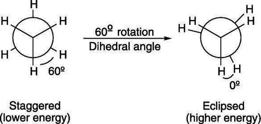 The staggered and eclipsed conformations in Newman projections.