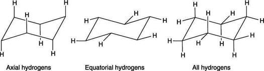 The axial and equatorial hydrogens on cyclohexane.