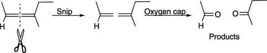 Determining products of ozonolysis.
