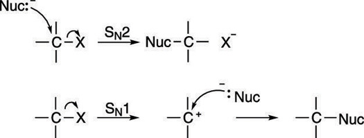 Two different substitution mechanisms.