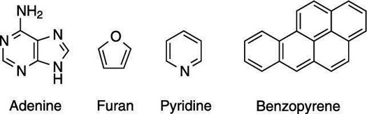 Some aromatic rings found in nature.