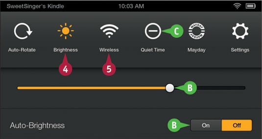 brightness settings camtwist