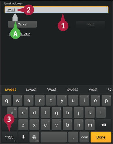 Tap in any text field to display the on-screen keyboard.