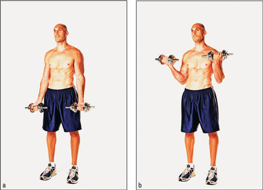 Barbell biceps curl