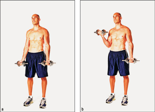 Alternating biceps curl