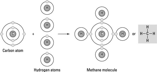 Covalent bond