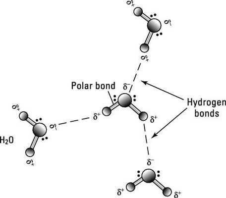 Chemistry Bonds Chart