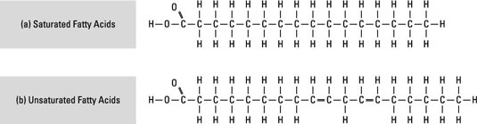 Lipids