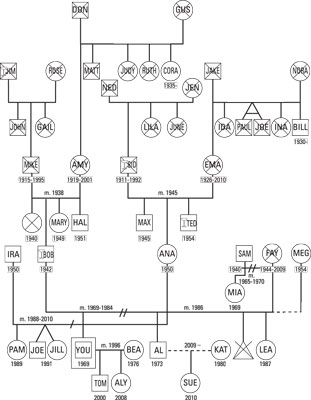 [Diagram: Darlene Lancer]